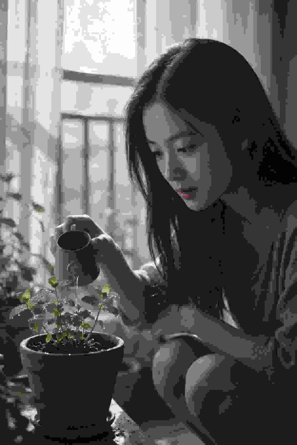节庆盛典